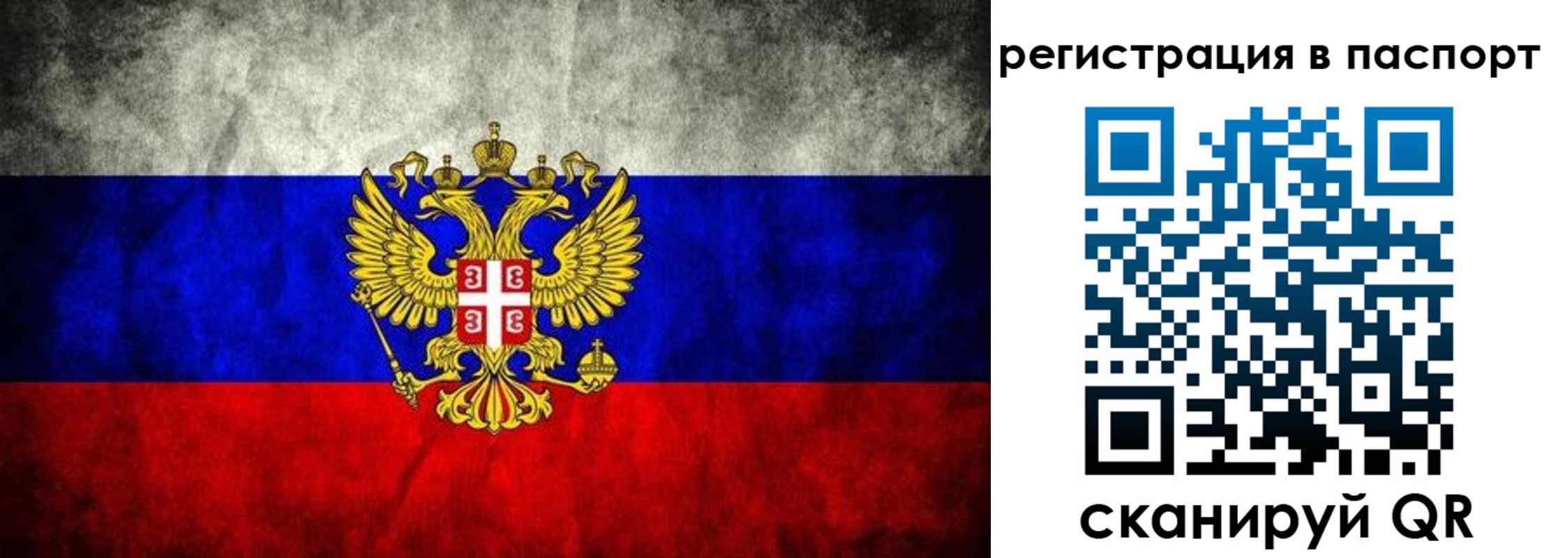 временная регистрация купить в Полярном